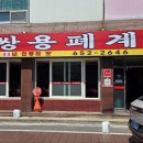 쌍용폐계닭 티스토리