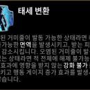 세븐 아라 이미지