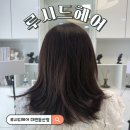 2773 | 대전 둔산동 미용실 루시드헤어 염색 후기｜오수진 디자이너 추천!