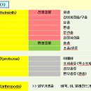 부여동물약국 이미지