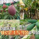 부자작물재배