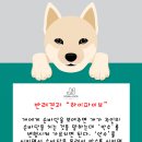 하이파이브 독스 이미지