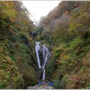 도사게이트볼장 이미지