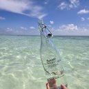 수중산책 | [몰디브 바르셀로 웨일라군 리조트] 신혼여행 수중환경부터 아쿠아 레스토랑 허니문 디너까지 완벽 후기