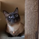 형제드라이크리닝 이미지