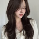 머리헤어