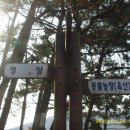 장진주유소 Daum카페