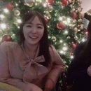 트리민박 이미지