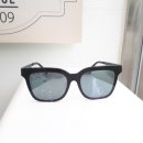 이안 메드 이미지