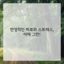 우리동네한의원 이미지