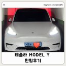 테슬라 모델y 틴팅 레이노 f95 후기 청라 아메리칸게라지 (내돈내산)