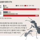 2020년 4월 24일 신문을 통해 알게 된 이야기들 이미지