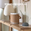 A5 | 뱅앤올룹슨 베오사운드 A5 후기 하이엔드 블루투스 스피커