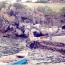 하례1리 이미지