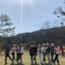 베뉴지 cc 네이버블로그
