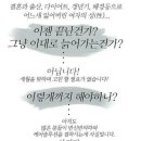 세르세(Serse)