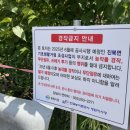 인곡천 이미지