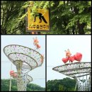 구곡2천 | [경북 소백산] 2020년 5월 소백산 철쭉 산행