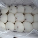 송화잔기지떡충주 이미지