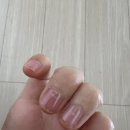 엄지손톱화장품