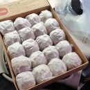 삼정민박 이미지