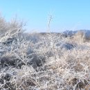 여강길(9코스 너른들길) | 2025.12.25여강길 9코스너른들길