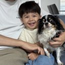 자연 애개 이미지