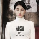 허쉬(HUSH) 이미지