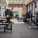 지오GYM