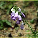 물향기공원 이미지