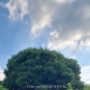 반송 Daum카페