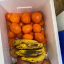 한벗교회 이미지