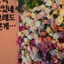 문메이트 네이버블로그