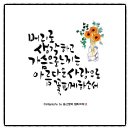 참머리사랑 이미지