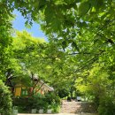 봉정사 공중화장실 | 영주 가볼만한 곳, 유네스코 문화유산 부석사