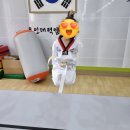 세빛태권도장 이미지