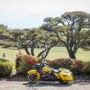 영화백양 이미지