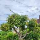 의송보건진료소 이미지