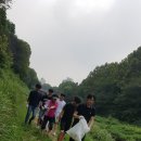 부광고등학교 이미지