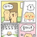 제나키친 이미지
