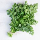 고수1로 이미지