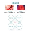 나온동물병원 이미지