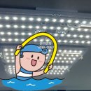 금강전파사 이미지