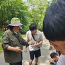 홈에버그린
