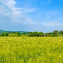 천북목장 이미지