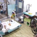 우아한개 이미지