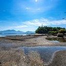 토끼와 거북이길 이미지