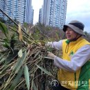 삼광자원 이미지