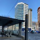 스웻온 서울 | 아모띠 보러 스웻온서울 크로스핏 드랍인 다녀온 후기! (까로, 루이,아모띠 상탈미췄다!! )아모띠 우승...