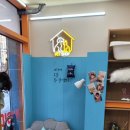 멍냥&꽁냥 이미지